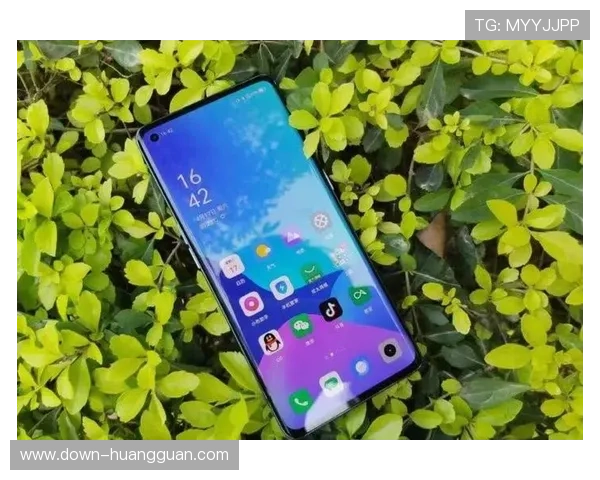 皇冠旗舰厅下载官网手机版下载能力全面提升用户体验的优质平台介绍